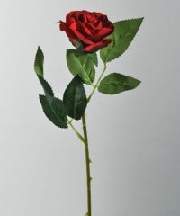 gul1